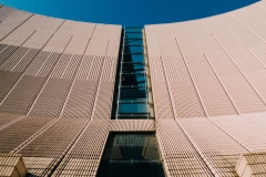 DSCF2641